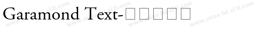 Garamond Text字体转换